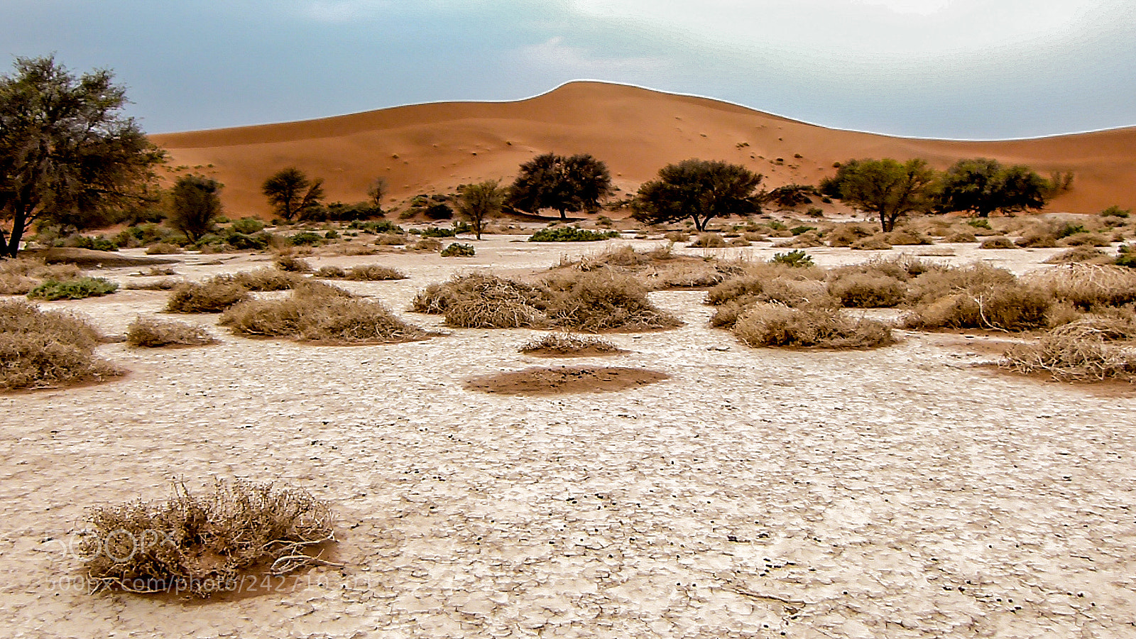 Panasonic Lumix DMC-FZ100 sample photo. Namib desert photography