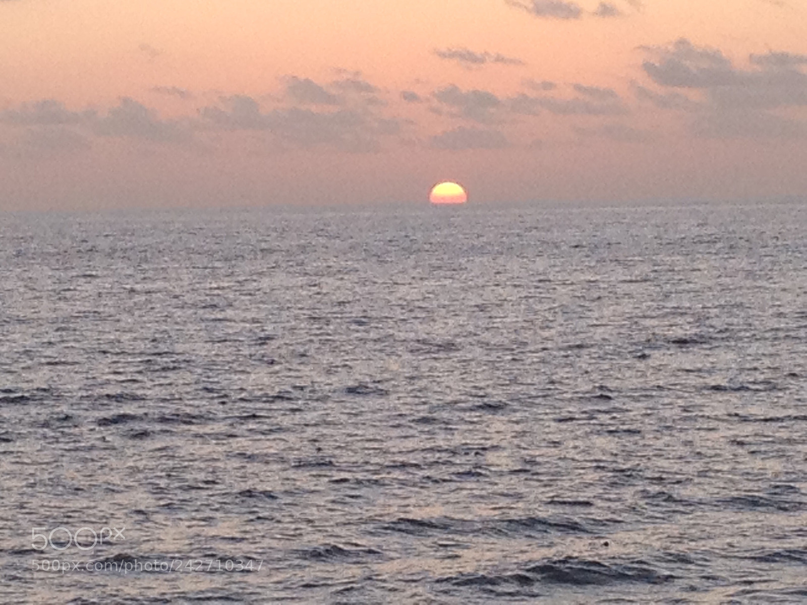 Apple iPhone 4S sample photo. Ddcbfcc ab faba photography