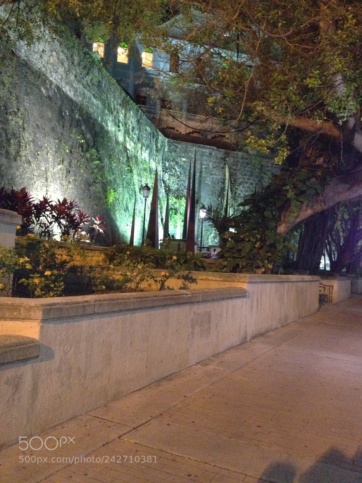Apple iPhone 4S sample photo. Dffb fcdae photography