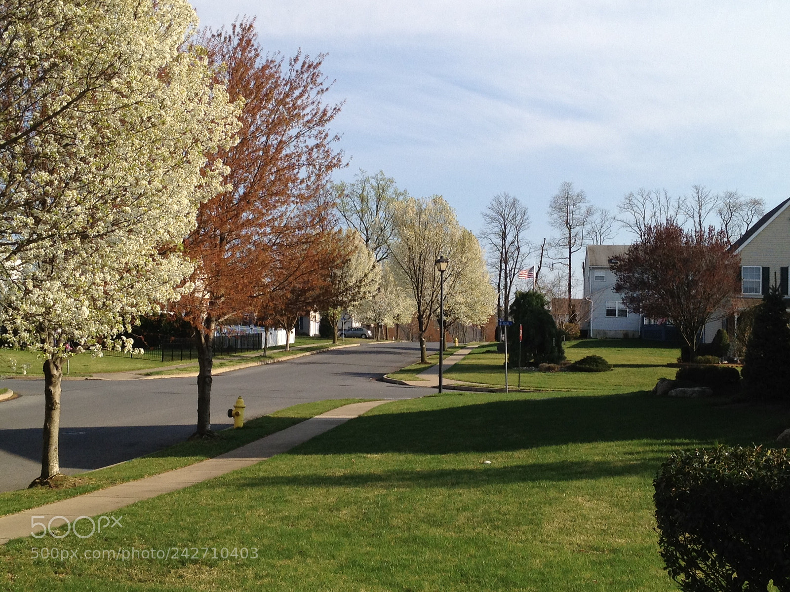 Apple iPhone 4S sample photo. Cbfcc dba fece photography