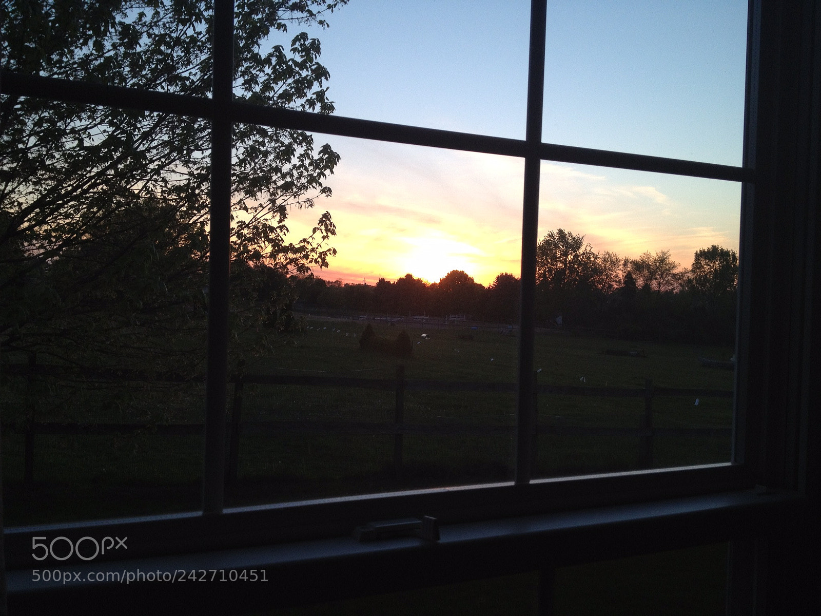 Apple iPhone 4S sample photo. Ffaba aaa bfde photography