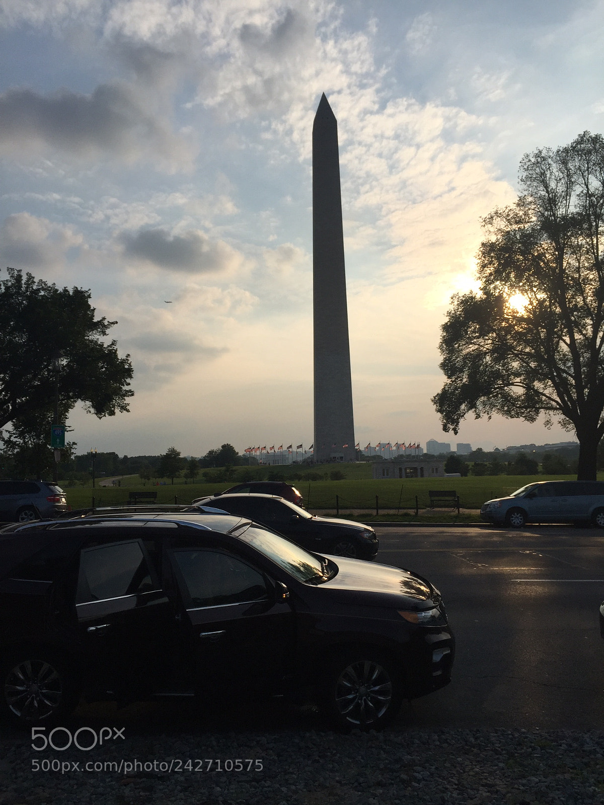 Apple iPhone 6 Plus sample photo. Dacd eabdb bddf photography