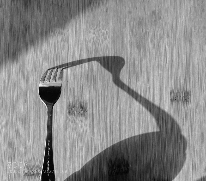 Nikon D700 sample photo. Untitled photography