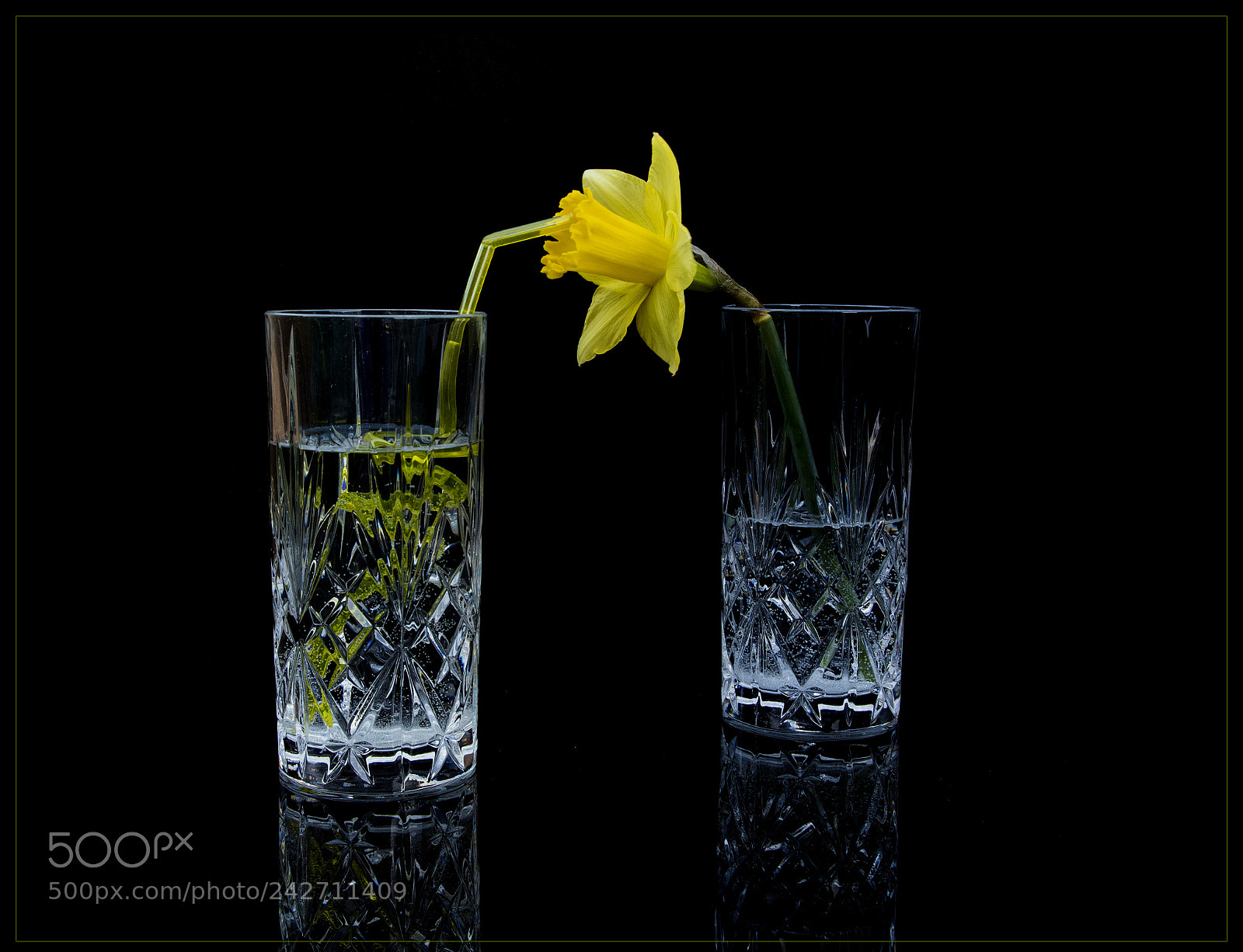 Nikon D500 sample photo. Have a drink my photography