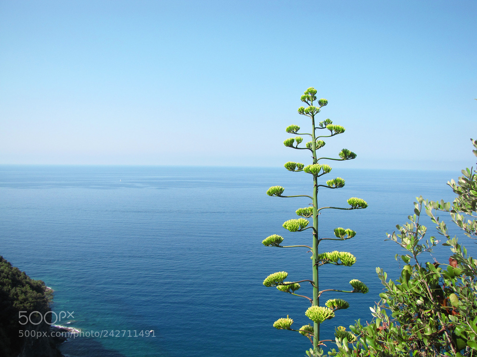 Canon PowerShot SX10 IS sample photo. Summer2015 photography