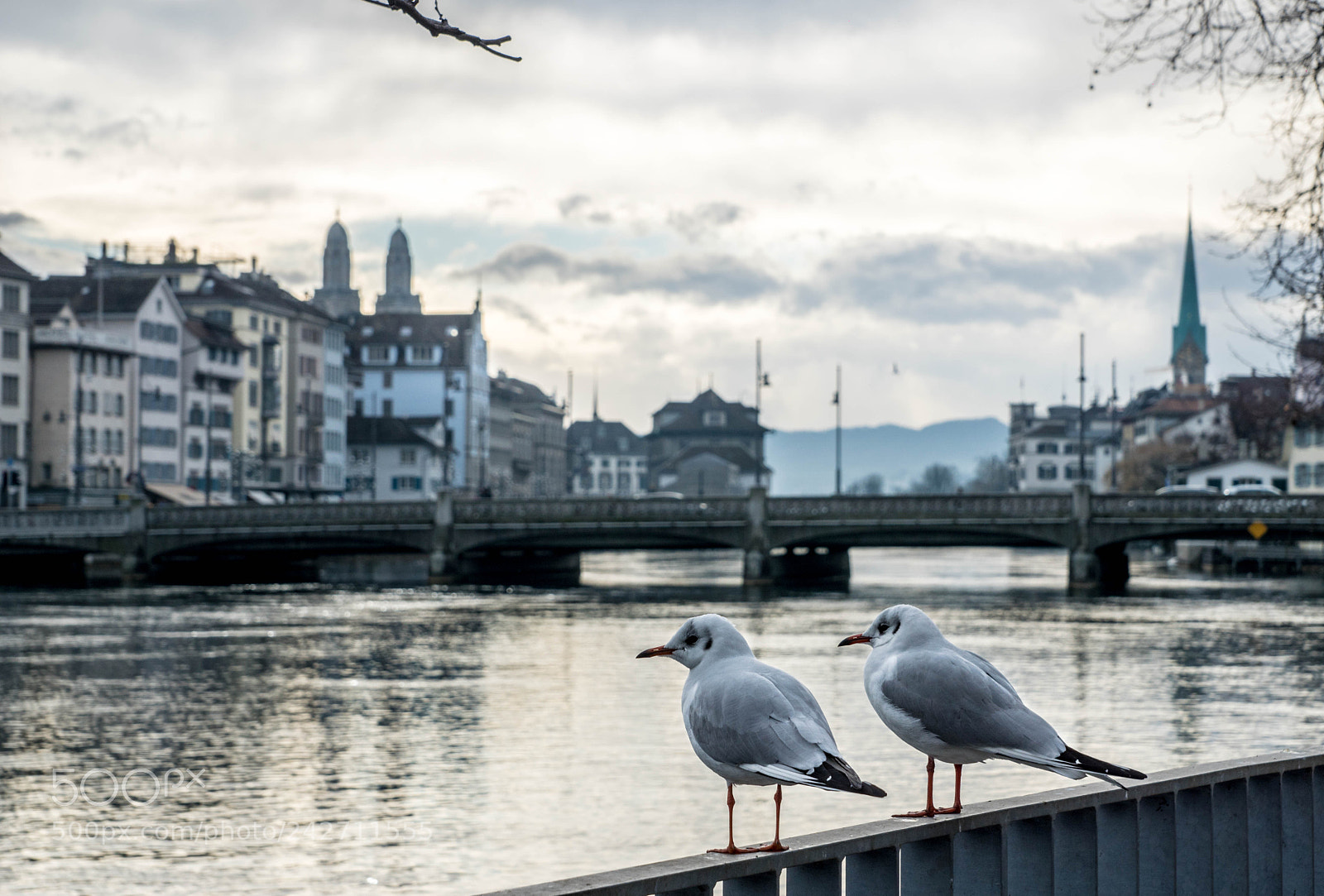Sony ILCA-77M2 sample photo. Zürich photography