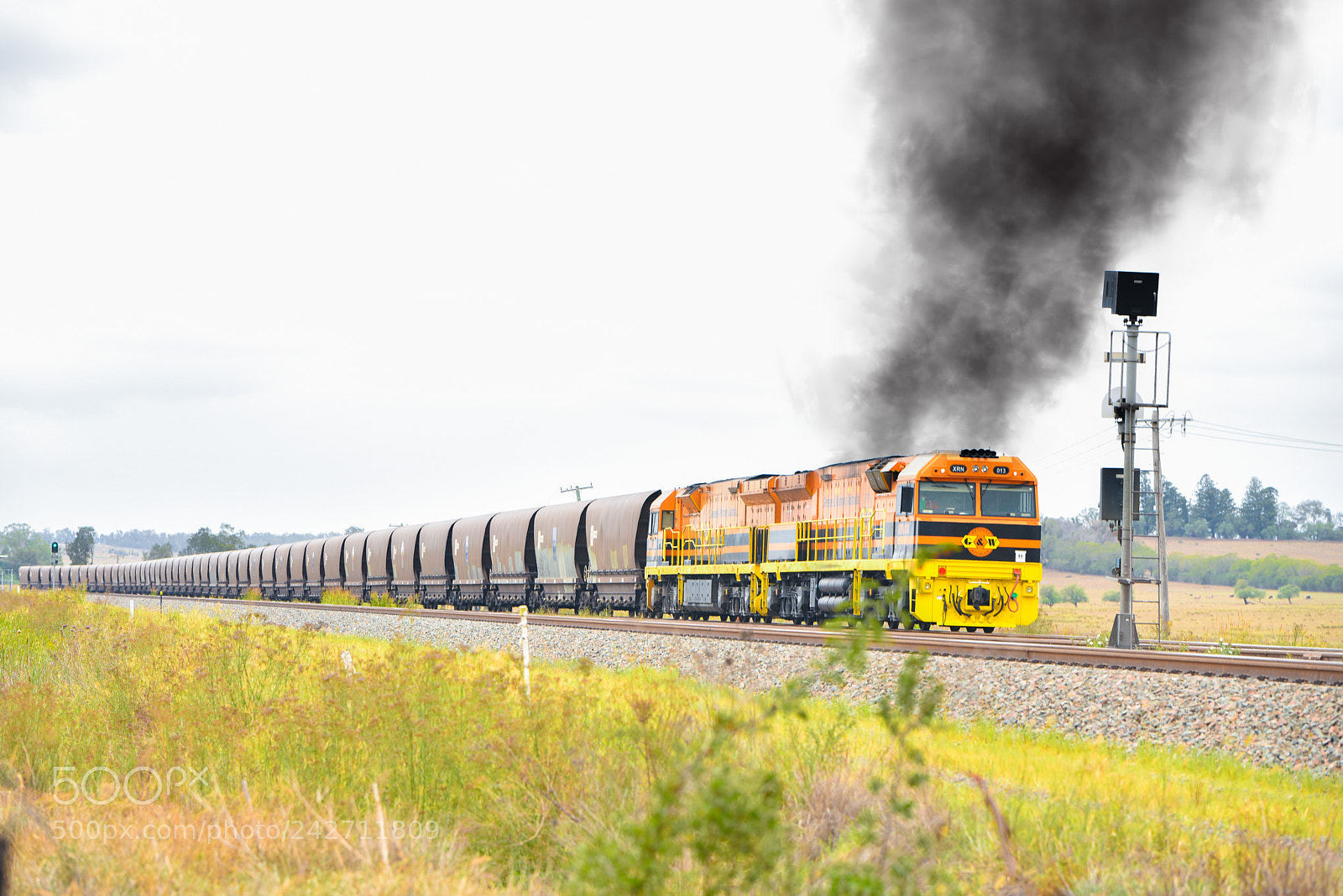 Nikon D810 sample photo. Train photography
