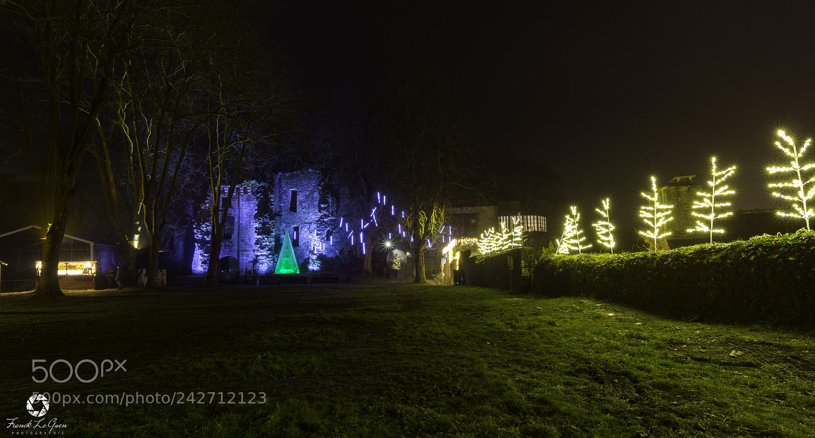 Nikon D7100 sample photo. Rochefort-en-terre christmas illumination - 8 photography