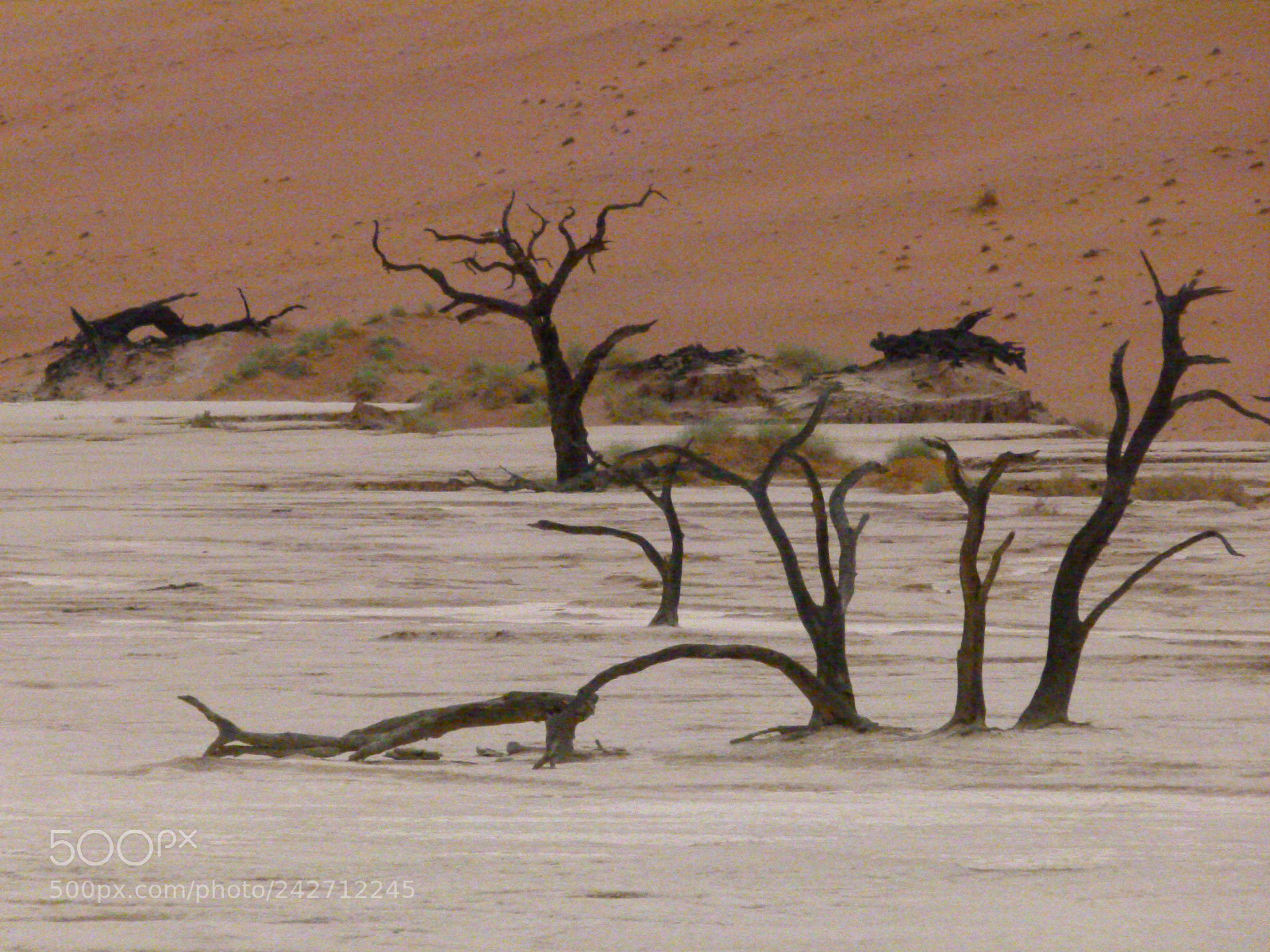 Panasonic Lumix DMC-FZ100 sample photo. Death valley namibia photography