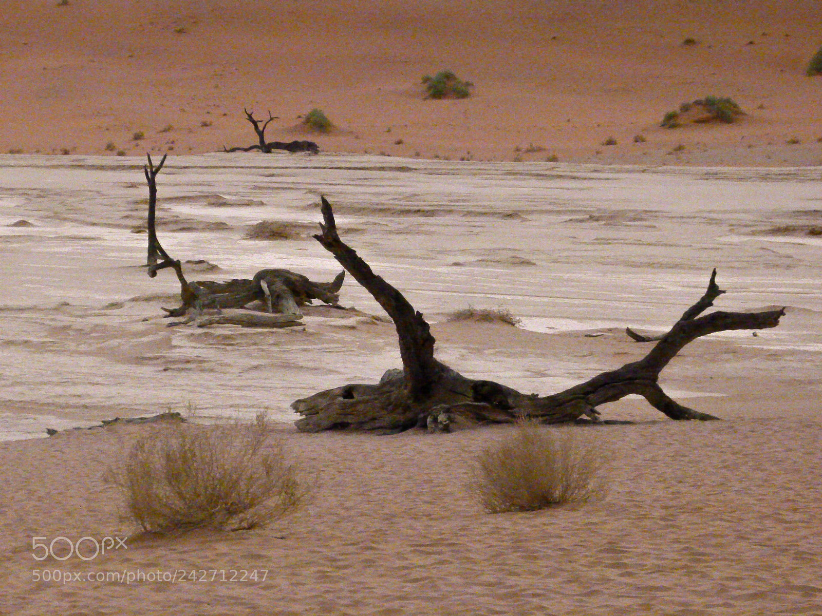 Panasonic Lumix DMC-FZ100 sample photo. Death valley namibia photography