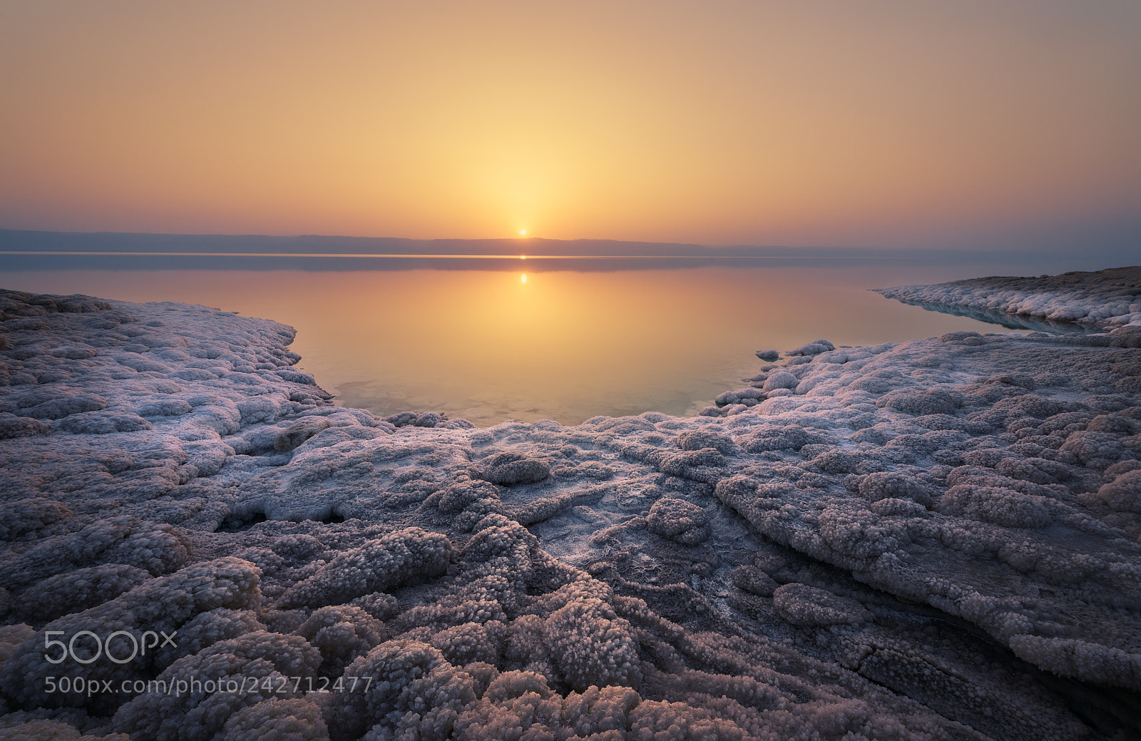 Nikon D610 sample photo. The dead sea photography