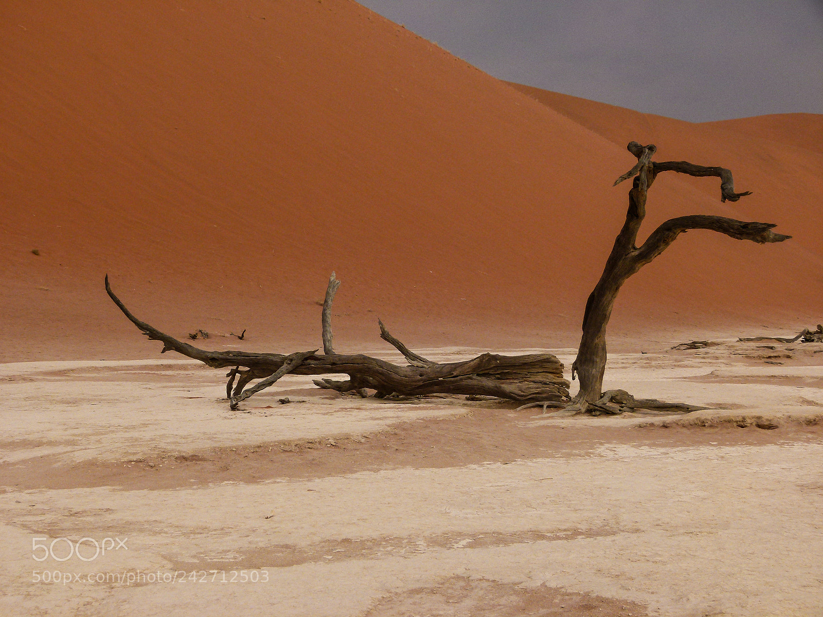 Panasonic Lumix DMC-FZ100 sample photo. Death valley namibia photography