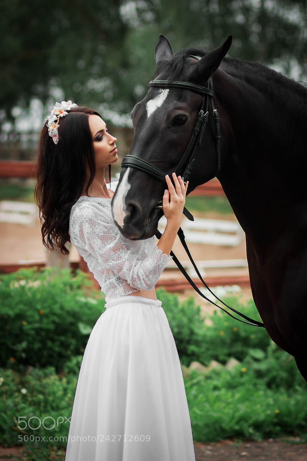 Canon EOS 600D (Rebel EOS T3i / EOS Kiss X5) sample photo. Bride near the horse photography