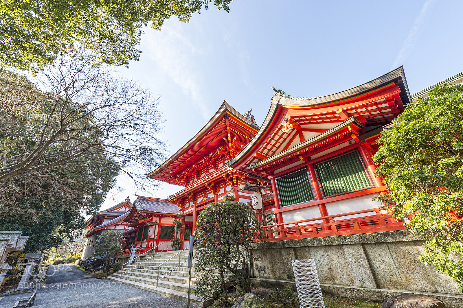 Nikon D4 sample photo. 近江神宮 photography