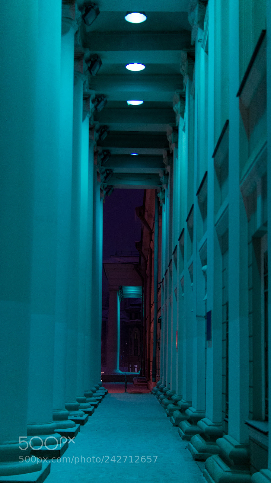 Sony SLT-A58 sample photo. Kazan federal university photography