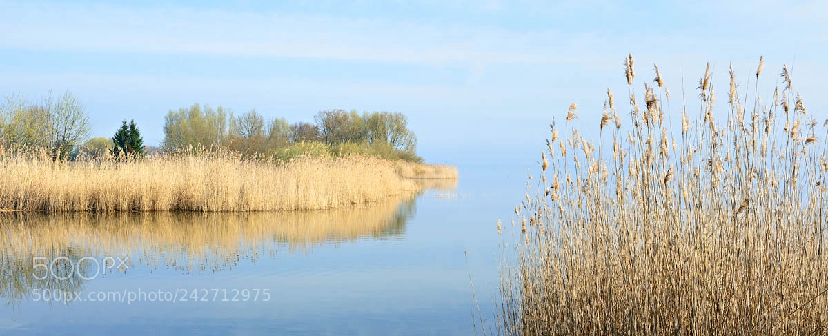 Nikon D800 sample photo. 46 minutes i photography
