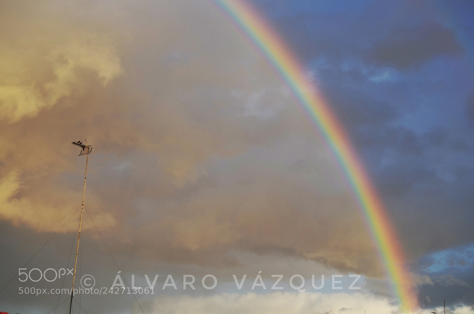 Nikon D5100 sample photo. Visiones photography