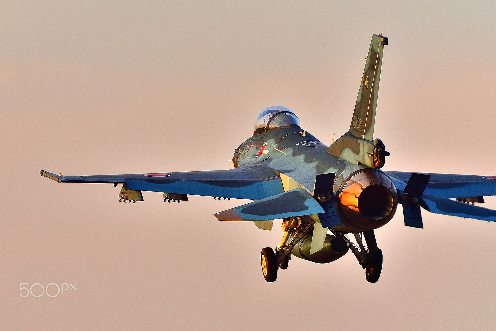 Nikon AF-S Nikkor 200-500mm F5.6E ED VR sample photo. F-2 landing photography
