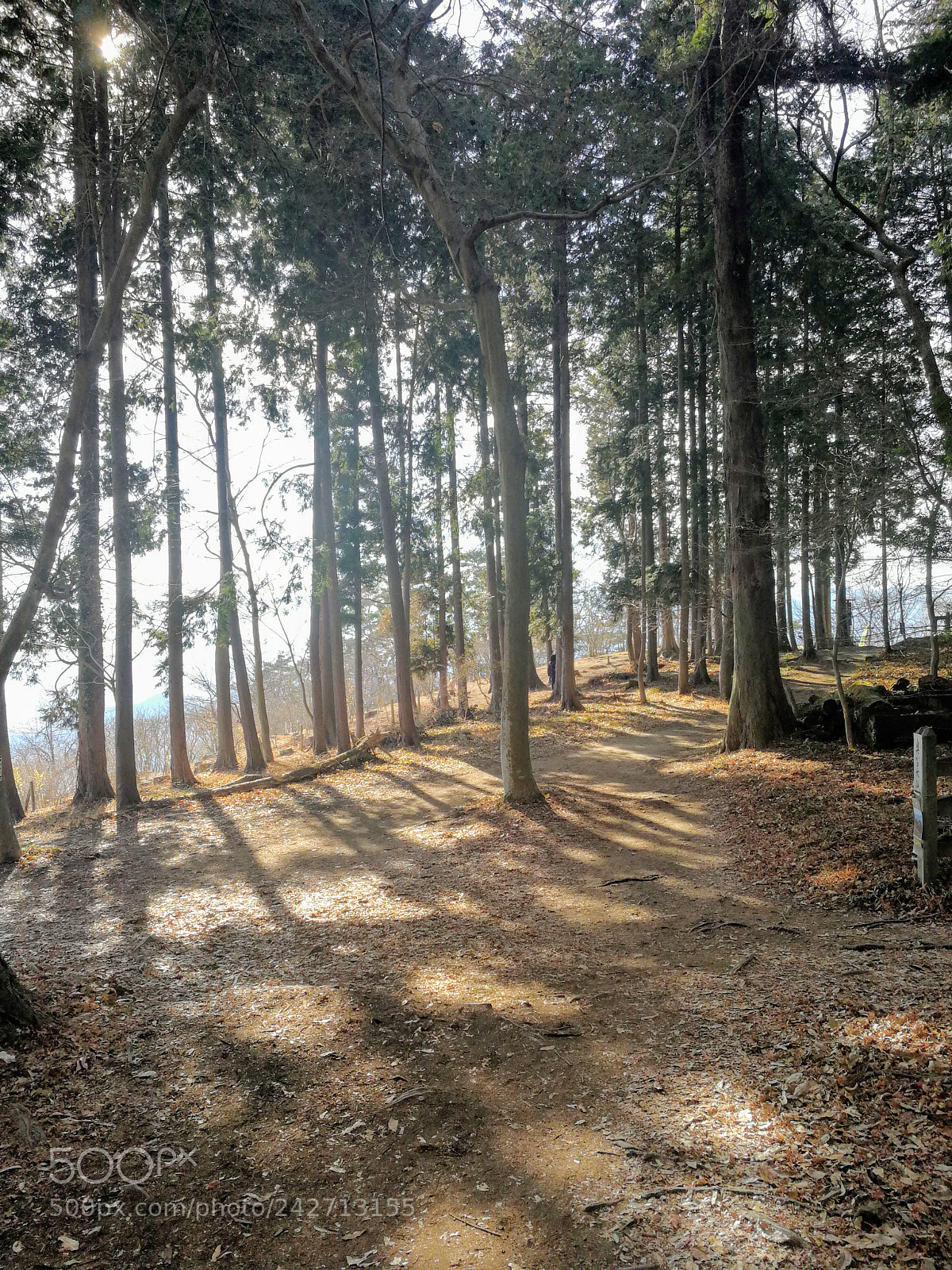 HUAWEI Mate 9 sample photo. 宝登山 photography