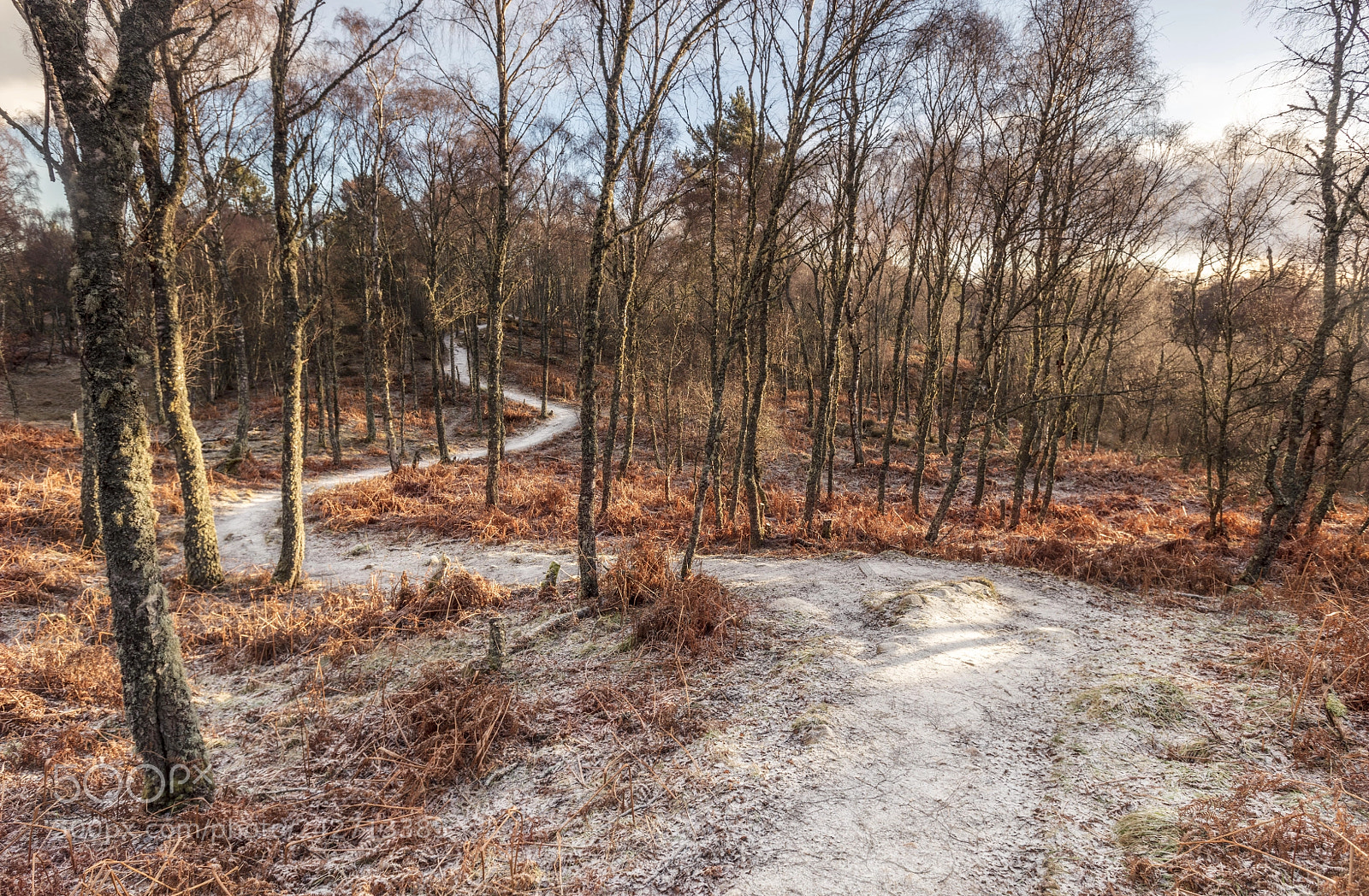 Canon EOS 5DS sample photo. The road to nowhere photography