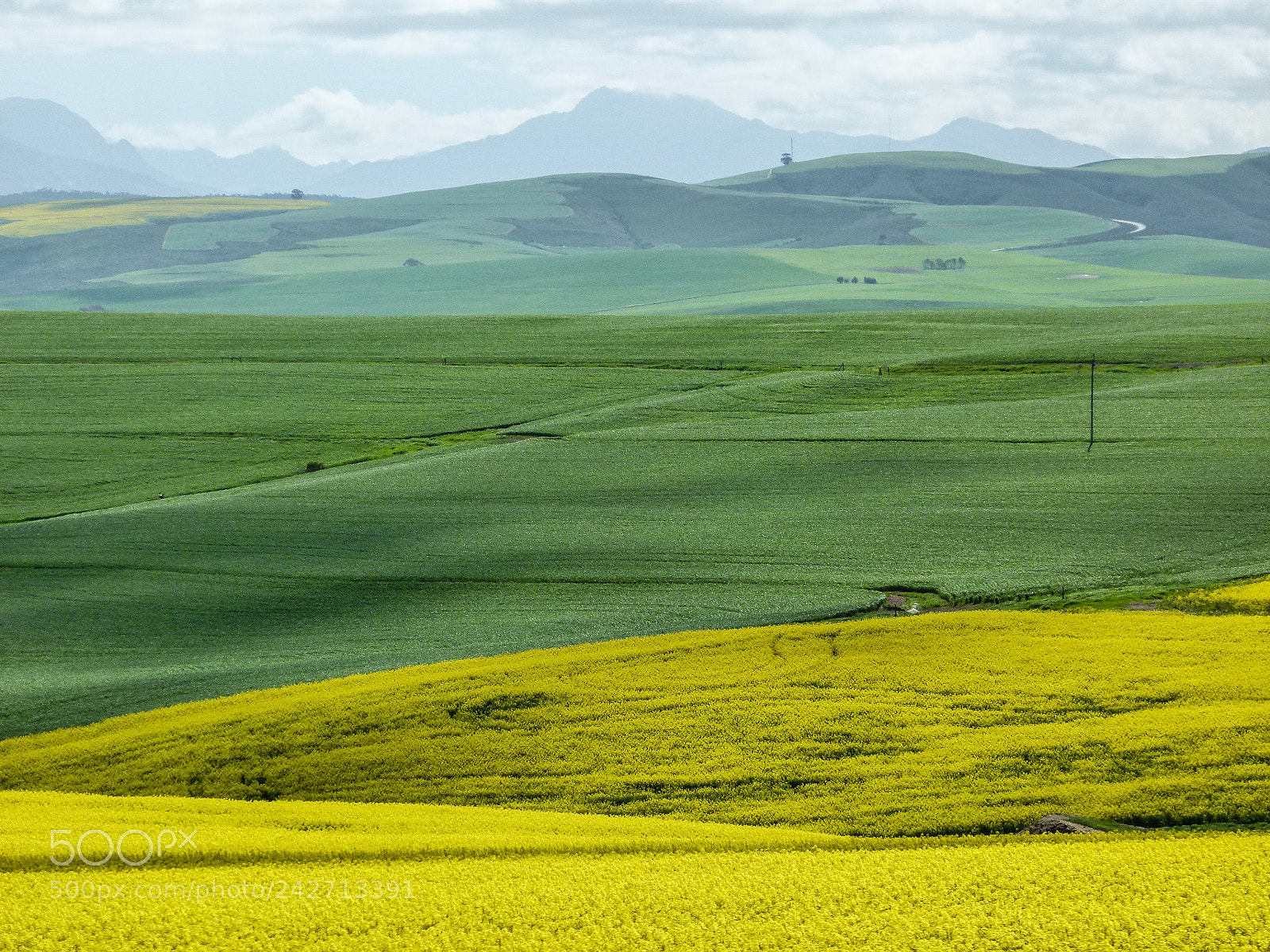 Panasonic Lumix DMC-FZ100 sample photo. Spring in south africa photography