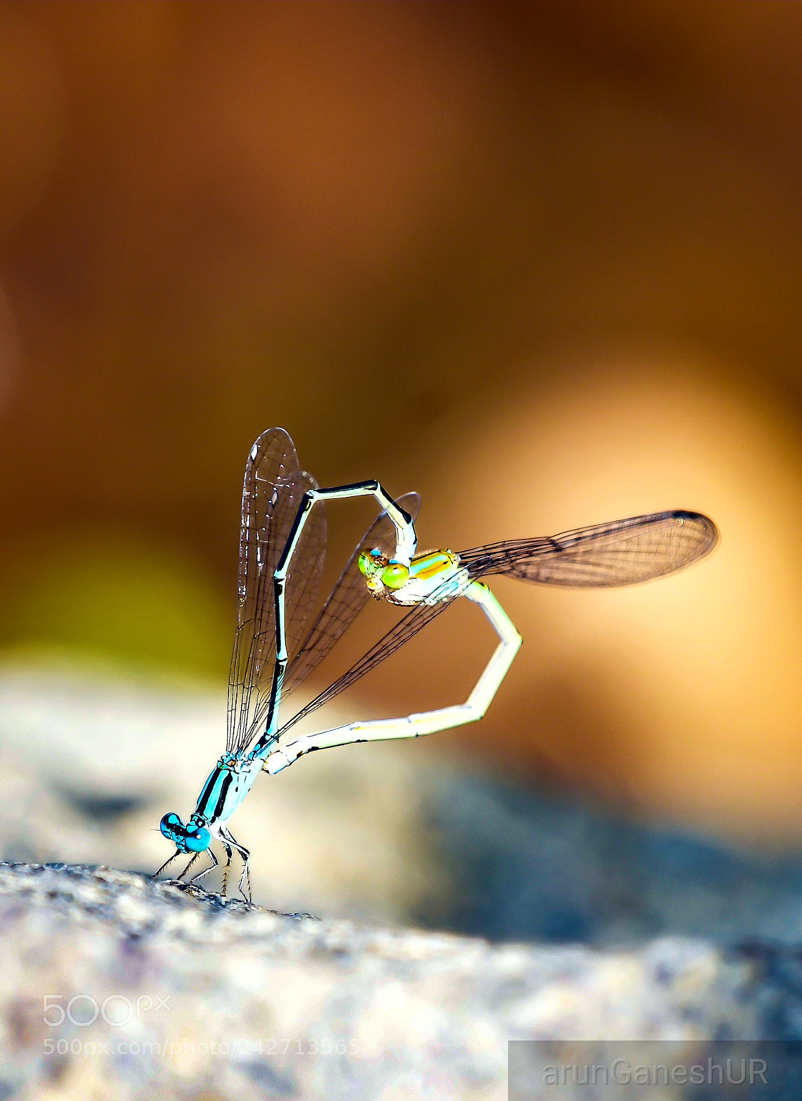 Nikon D500 sample photo. Shape of love photography