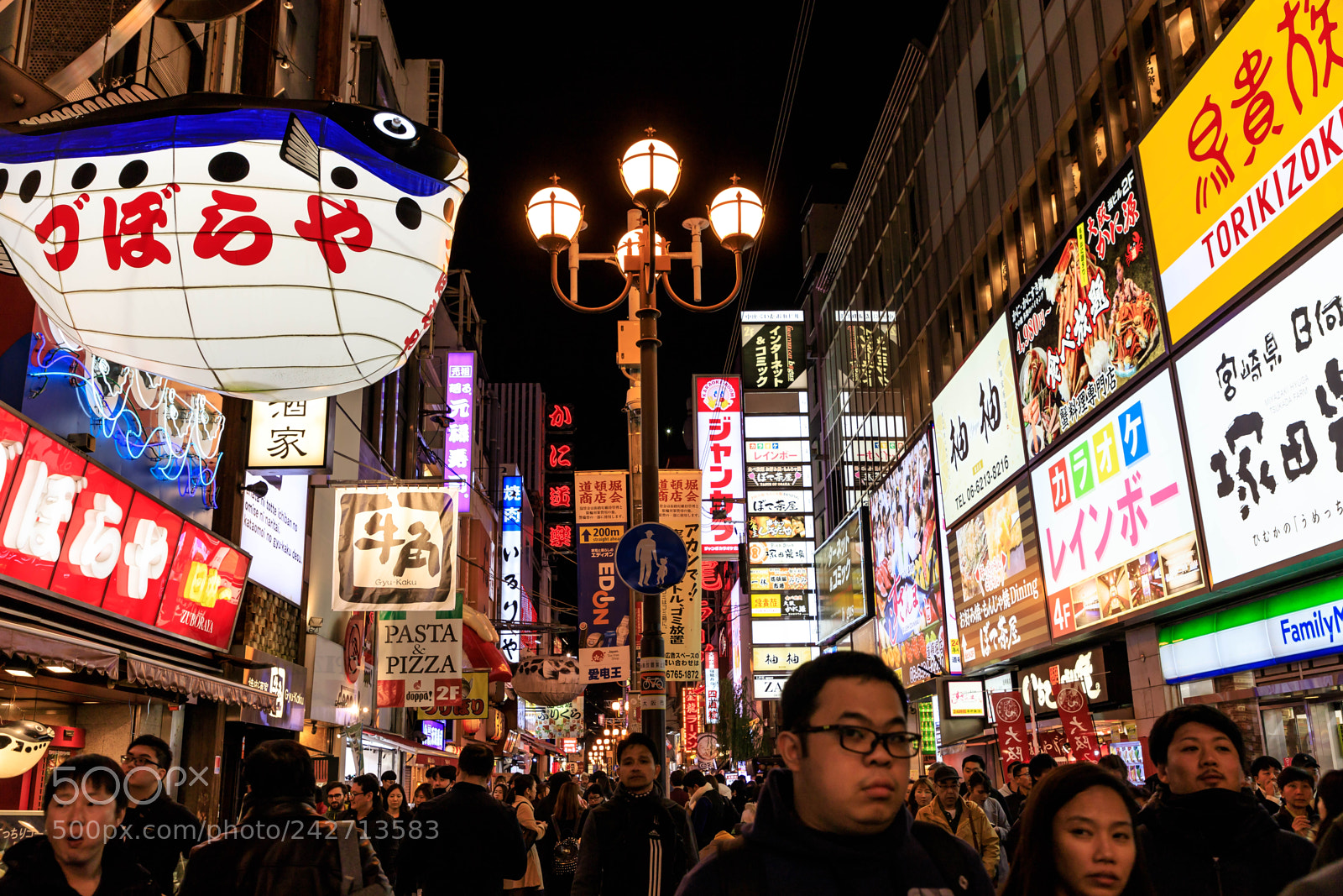 Canon EOS 6D Mark II sample photo. Fugu fugu photography