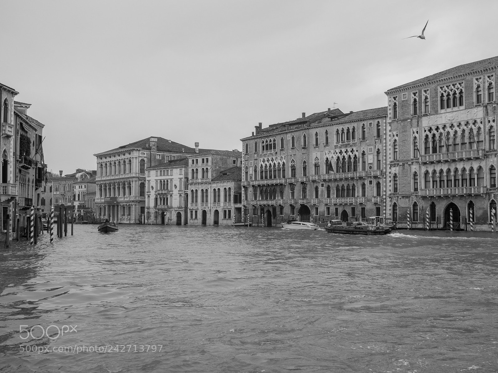 Panasonic Lumix DMC-GX8 sample photo. Grand canal black-white photography