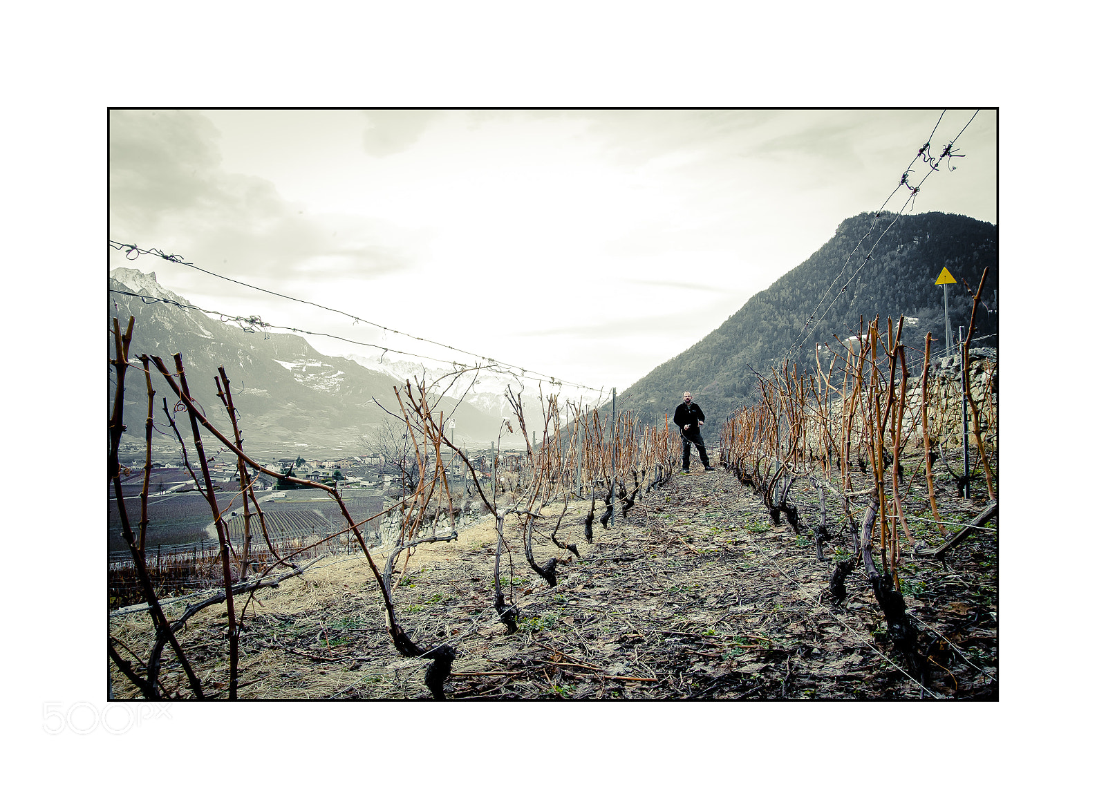 Nikon D700 sample photo. Taille de vigne chamoson photography