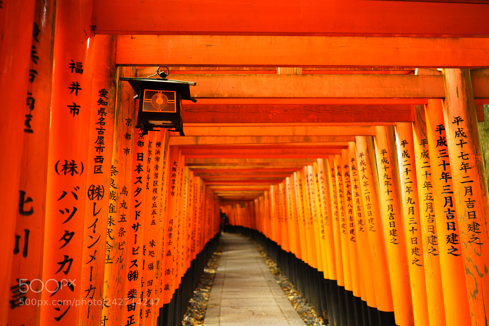 Sony a7R III sample photo. 伏見稲荷大社 photography