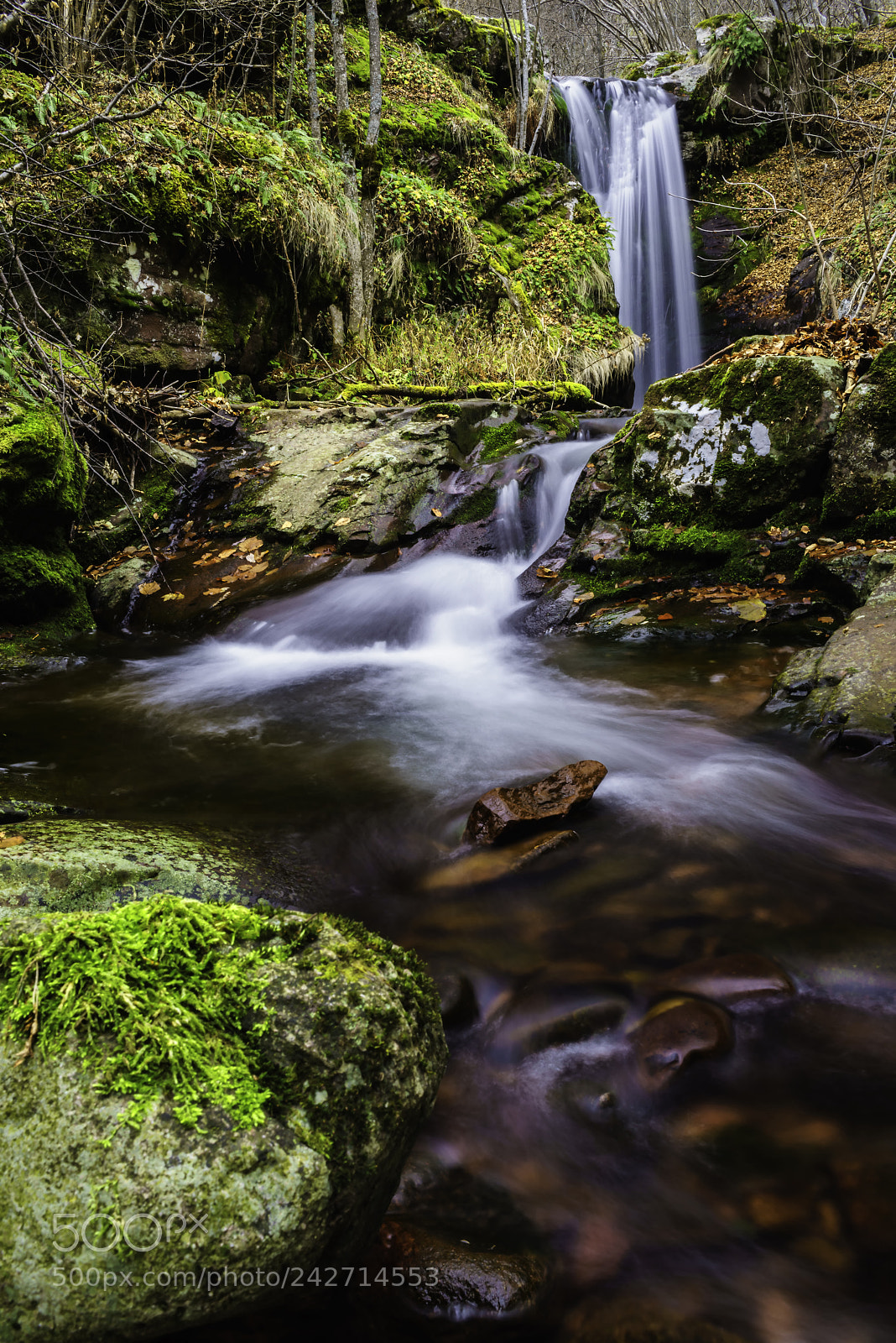 Sony a7R sample photo. Charm of mountain river photography