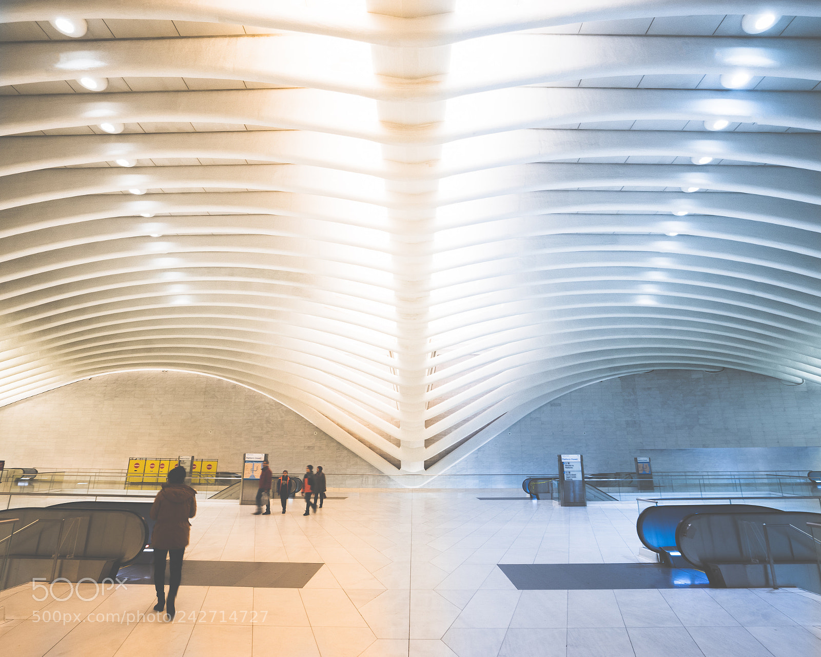 Sony a7 II sample photo. Warm vs. cool photography