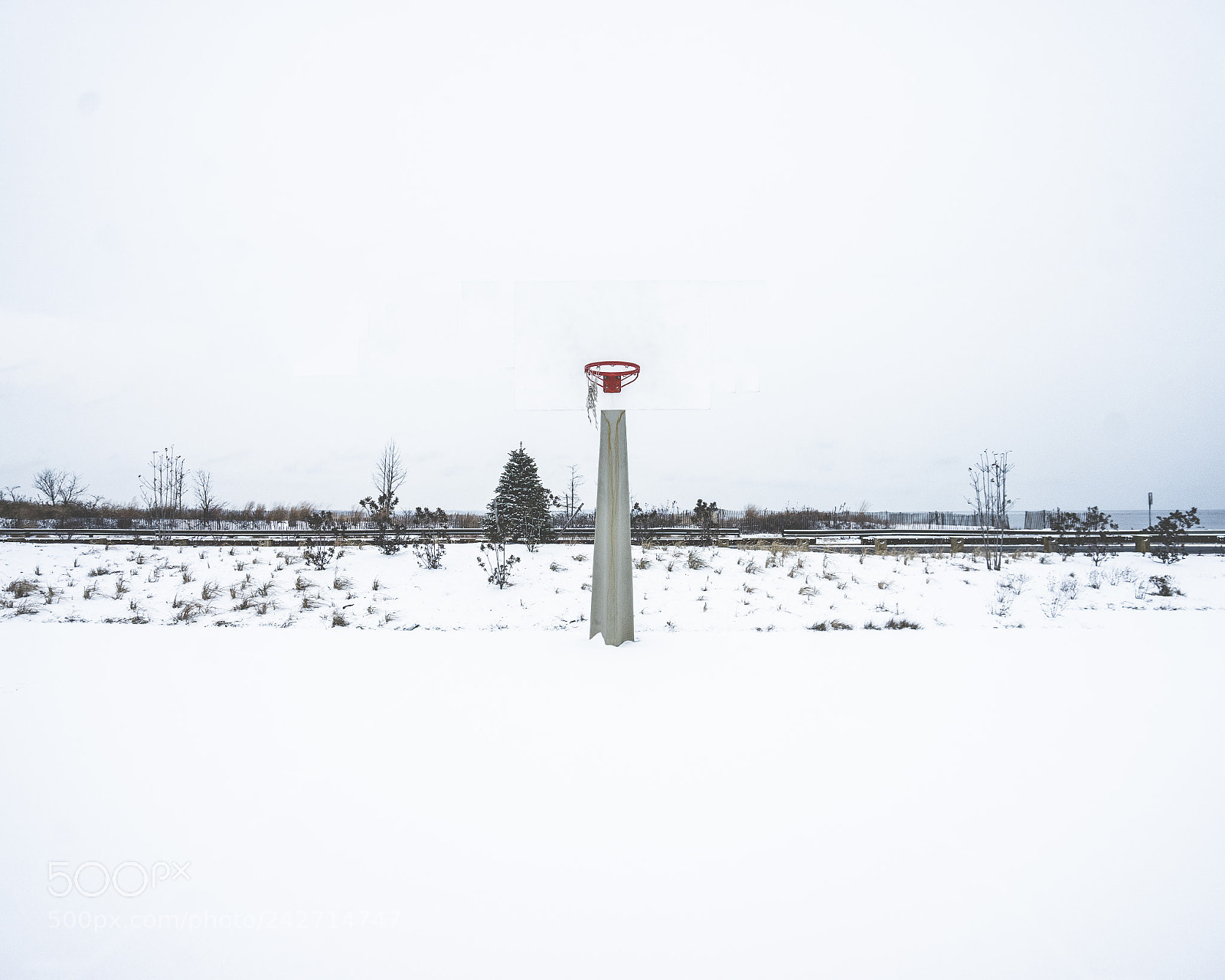 Sony a7 II sample photo. Game over photography