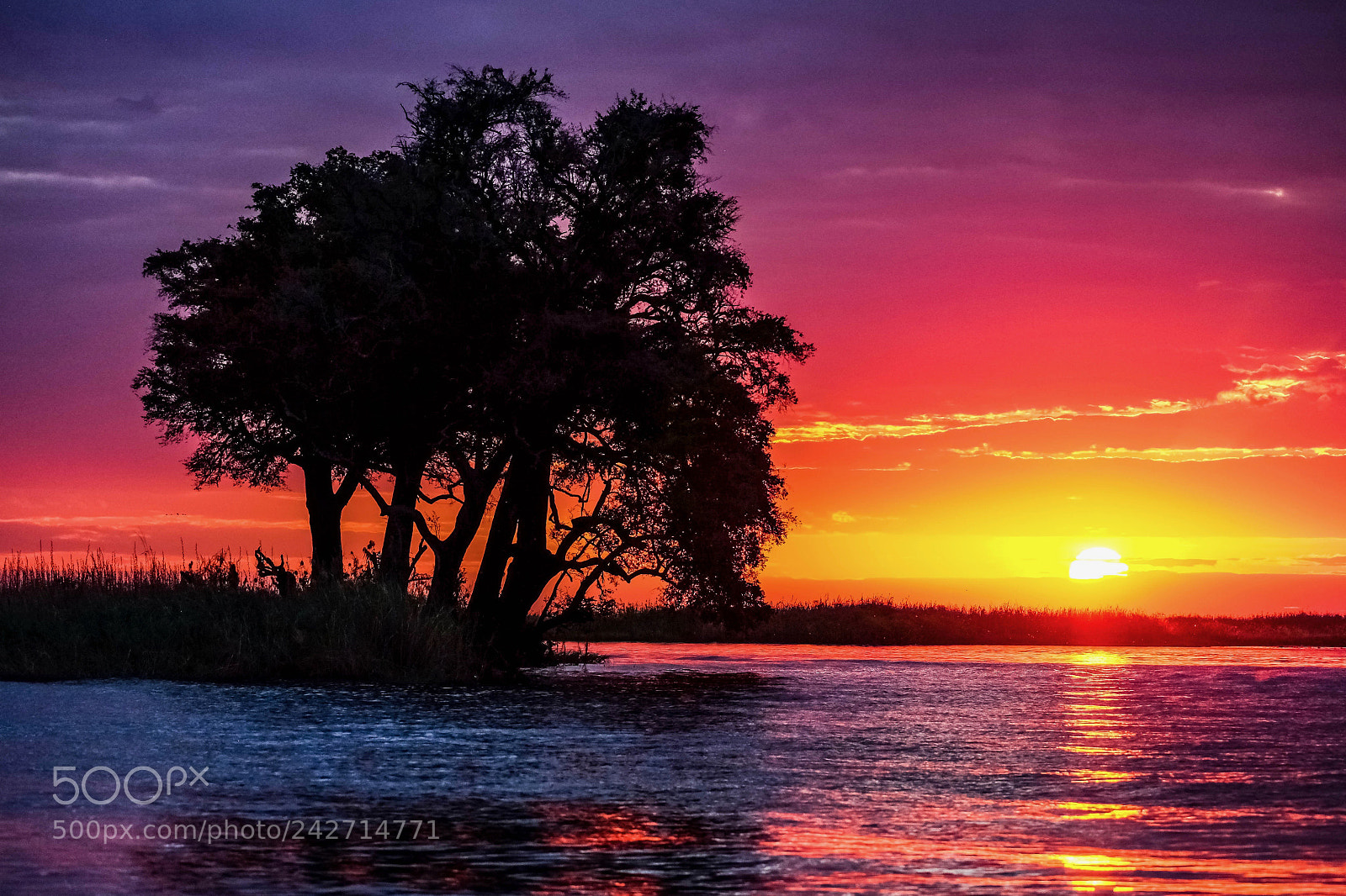 Fujifilm X-T1 sample photo. Chobe sunset - # 2 photography