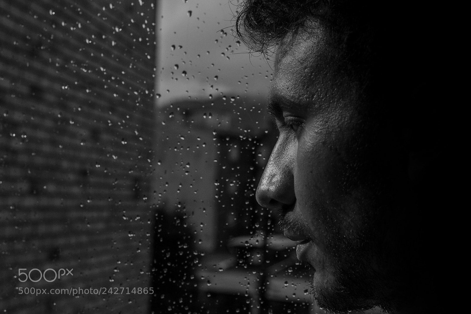 Nikon D3400 sample photo. Rainy day photography