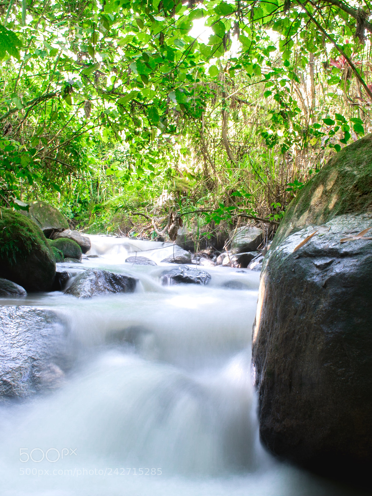Nikon D3400 sample photo. Small river photography