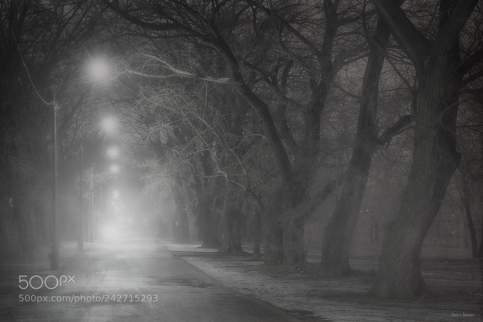 Sony SLT-A65 (SLT-A65V) sample photo. Foggy night photography