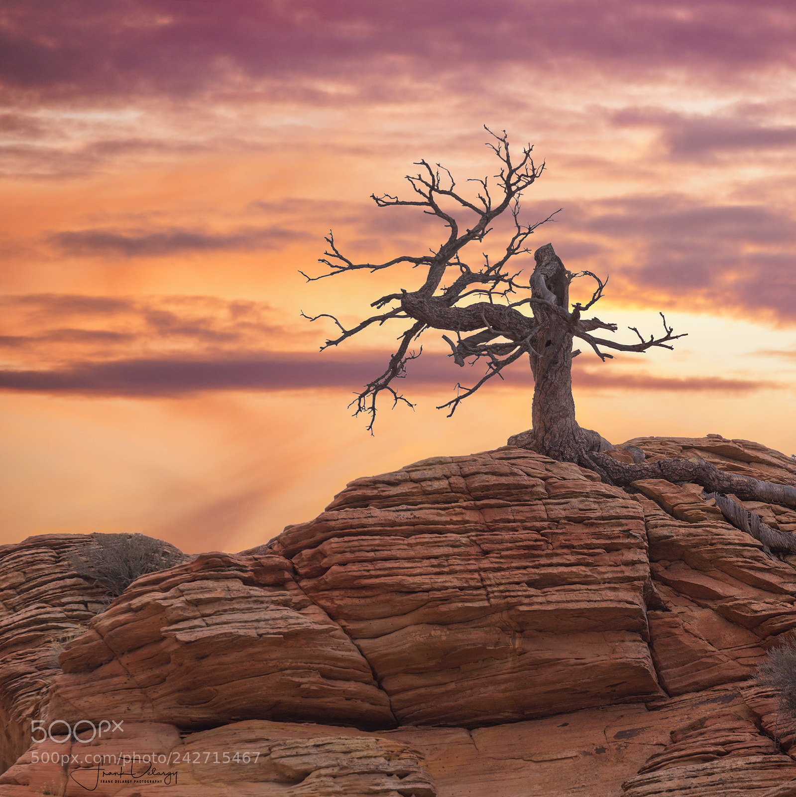 Sony a7R III sample photo. Still standing photography