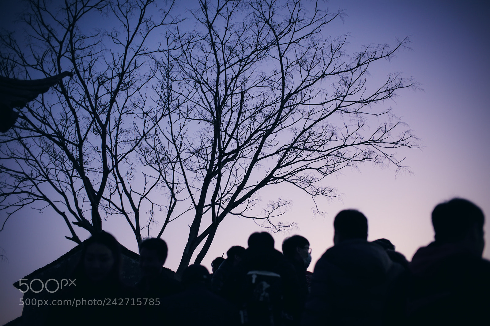 Leica M (Typ 240) sample photo. Drunk, fever and ordinary photography