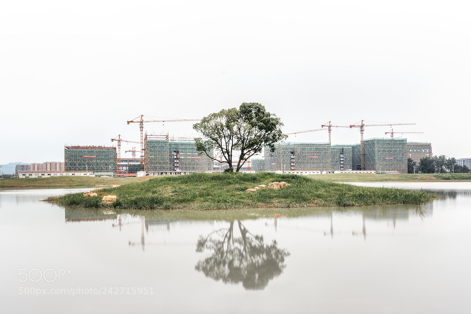 Nikon D610 sample photo. 浙大西区 photography
