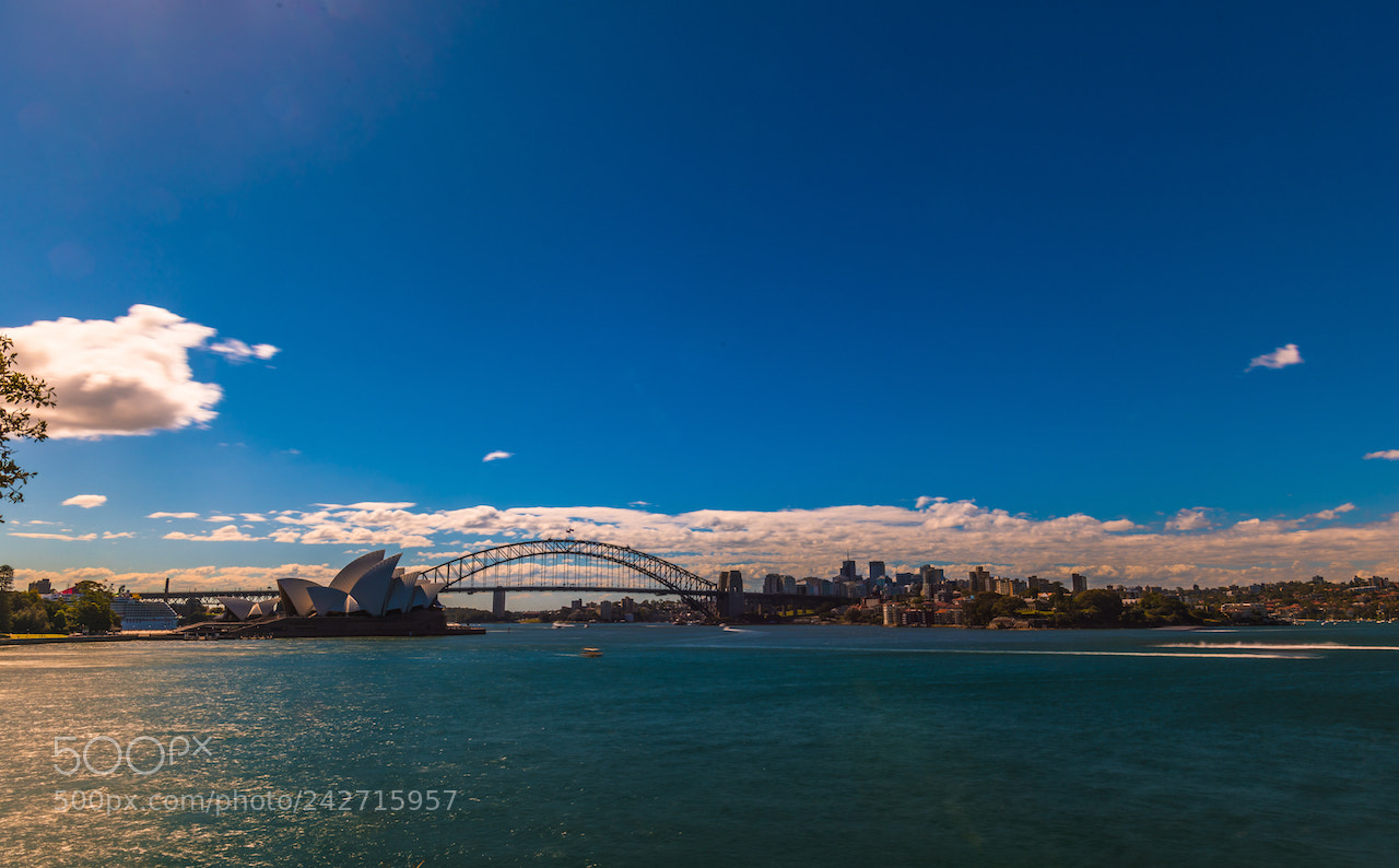 Nikon D810 sample photo. Harbour bridge photography