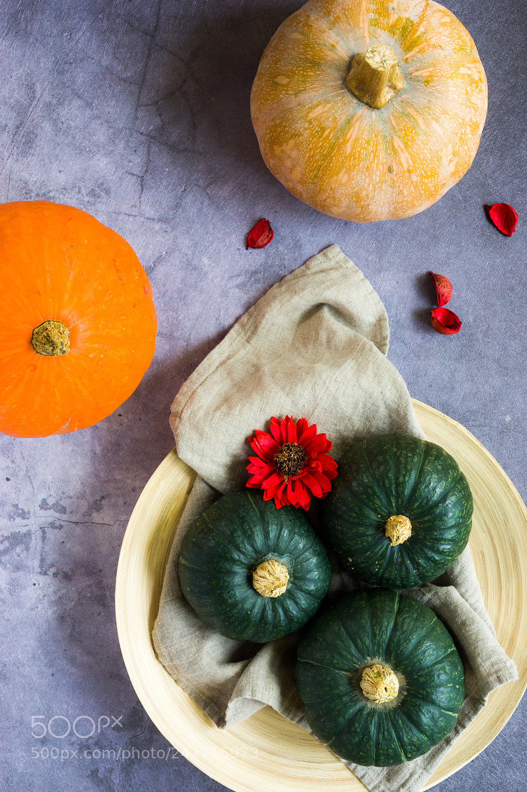 Sony a7 II sample photo. Decorative pumpkins in different photography