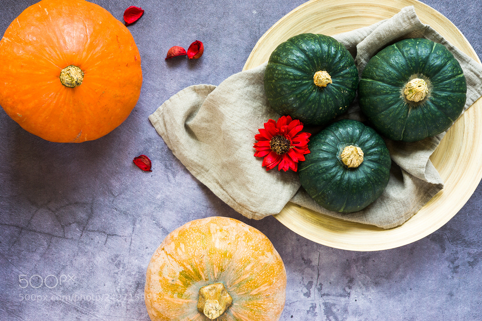 Sony a7 II sample photo. Decorative pumpkins in different photography