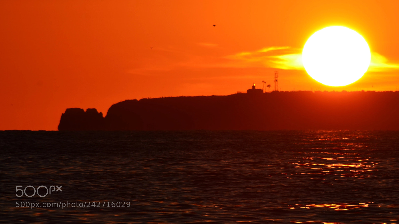 Nikon D5100 sample photo. Algarve photography