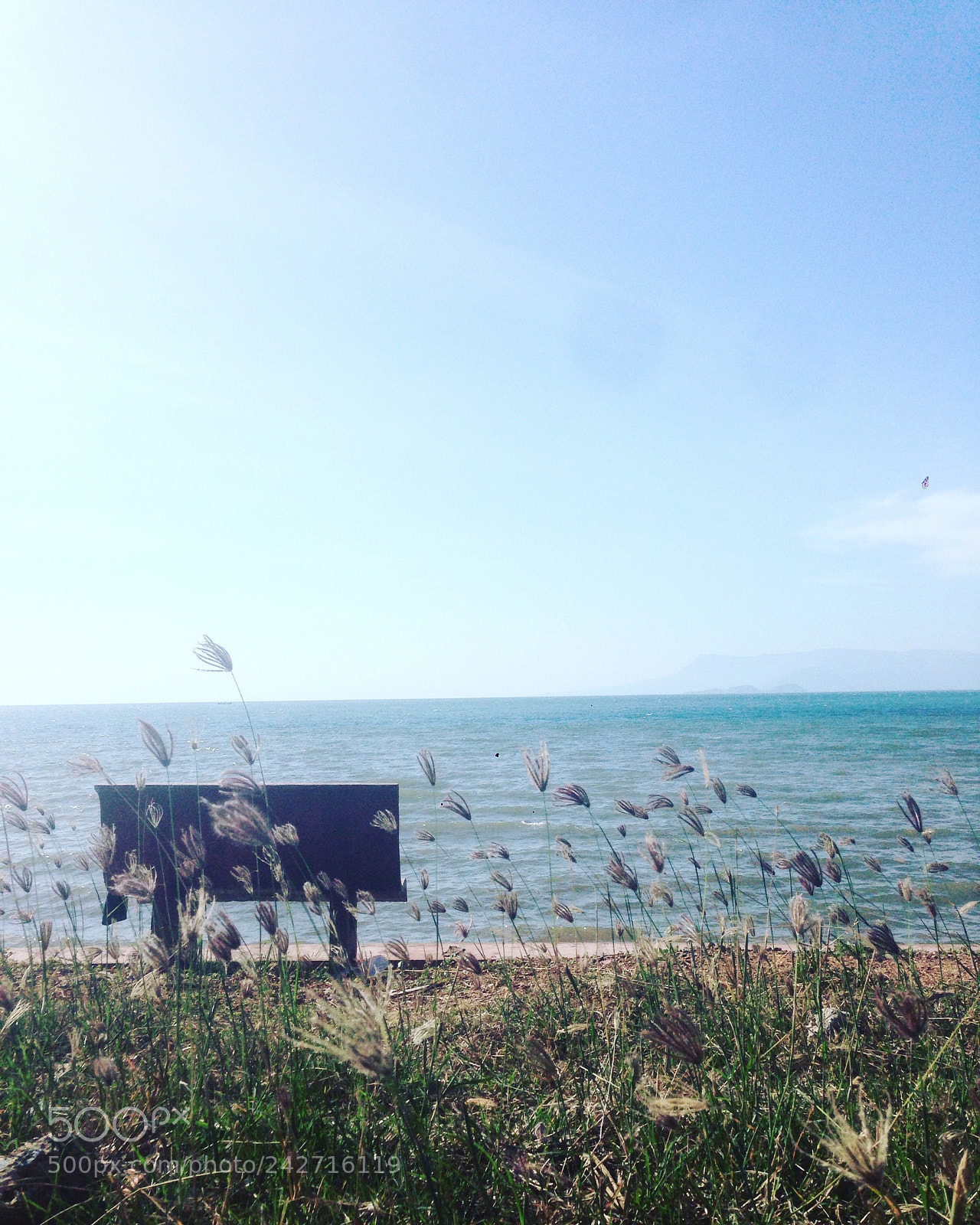 Apple iPhone 5 sample photo. Forever we are young  photography