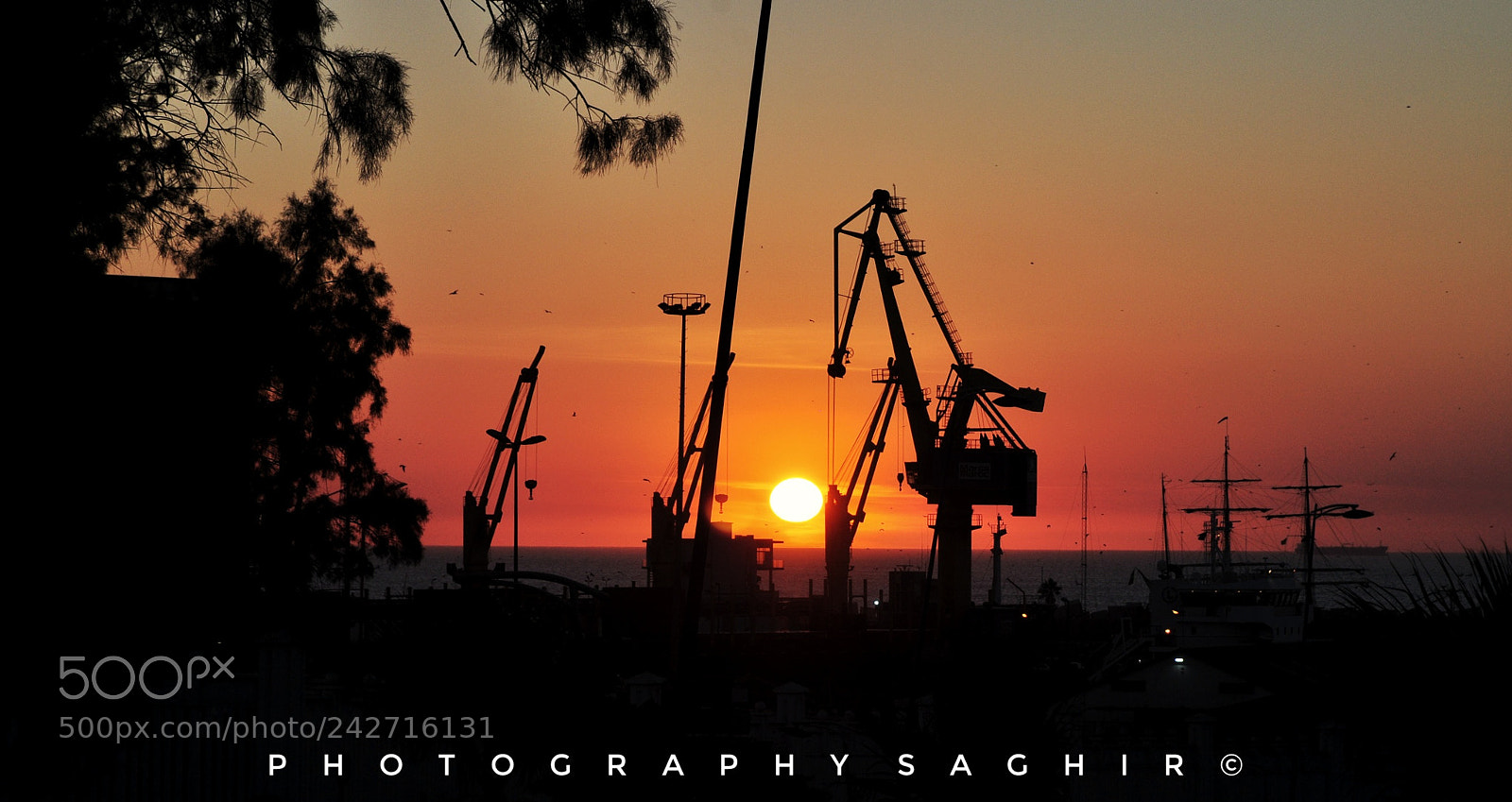 Nikon D90 sample photo. Untitled photography