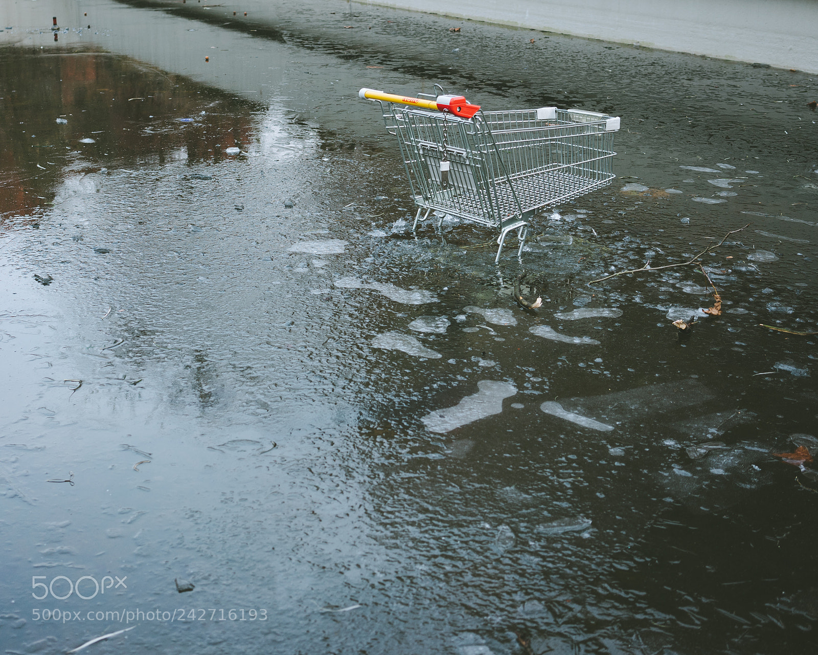 Sony a7 II sample photo. I need some apple photography