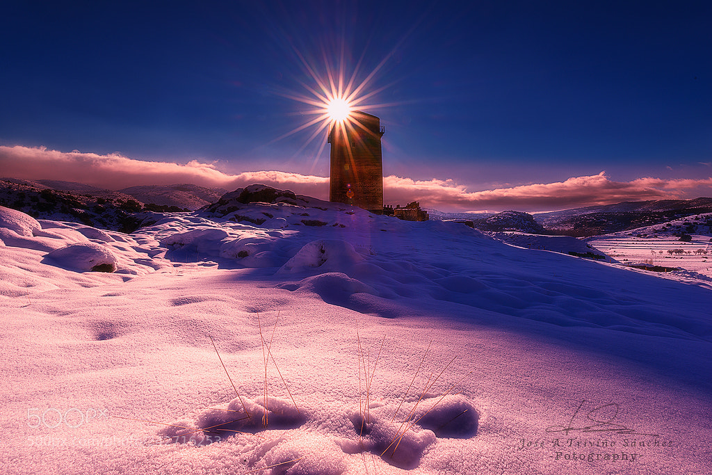 Nikon D800 sample photo. The winter castle photography