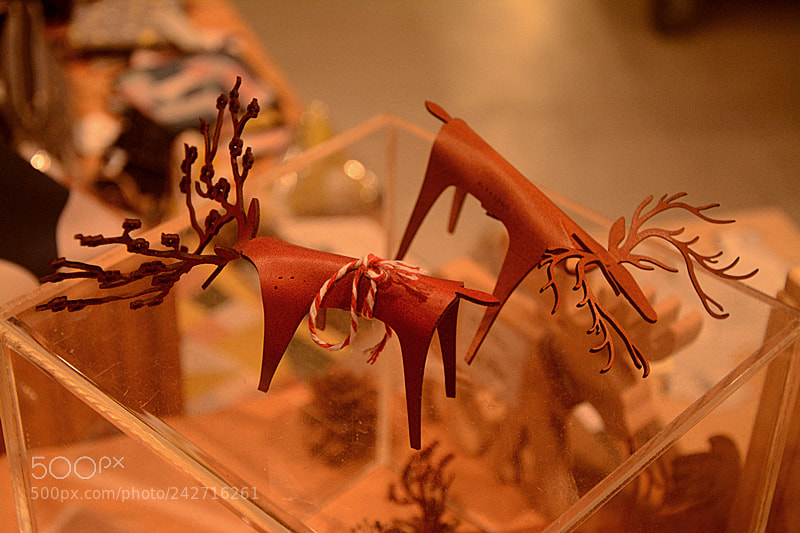 Nikon D7100 sample photo. 副本 photography