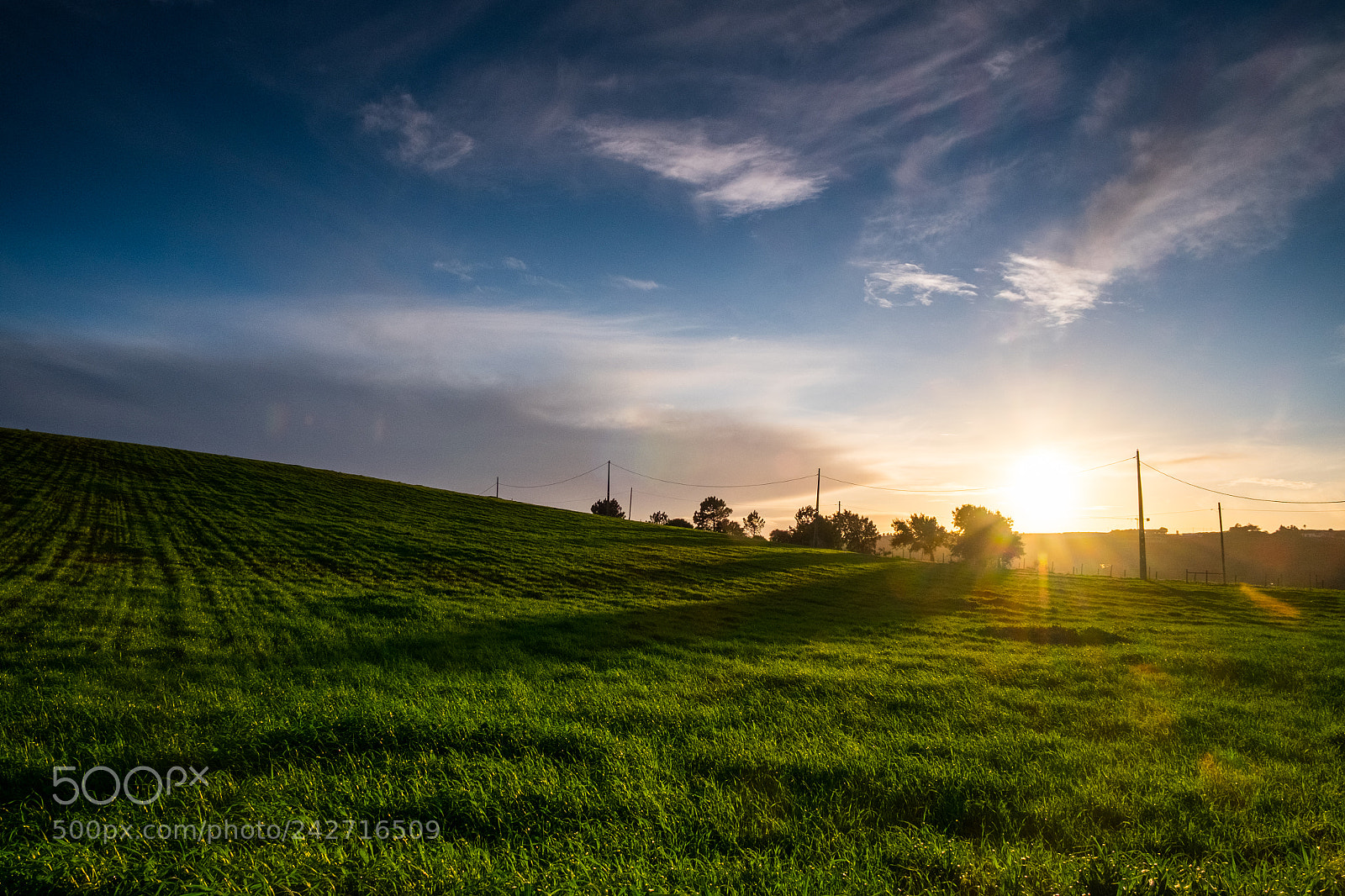 Fujifilm X-E2 sample photo. My sunny prairies photography